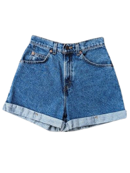 Vintage High waisted Jean Shorts